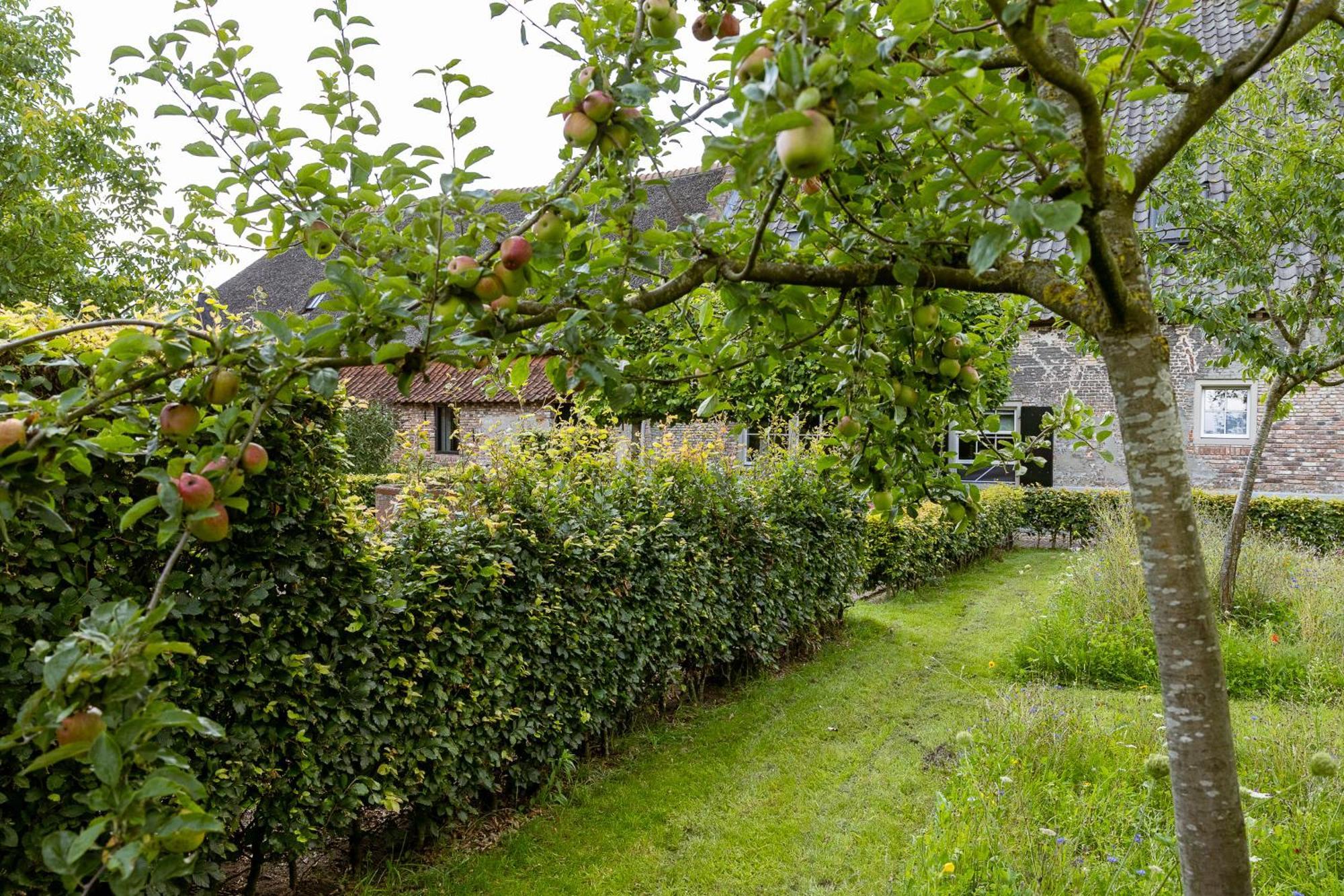 Den Eijngel Bed And Breakfast Boxtel Exterior photo